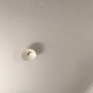 Meet your Posher, Anoushka